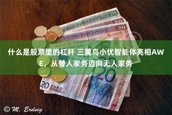 什么是股票里的杠杆 三翼鸟小优智能体亮相AWE，从替人家务迈向无人家务