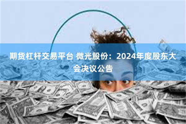 期货杠杆交易平台 微光股份：2024年度股东大会决议公告