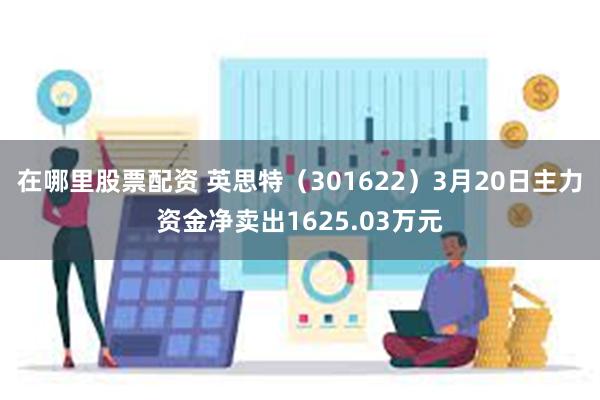 在哪里股票配资 英思特（301622）3月20日主力资金净卖出1625.03万元