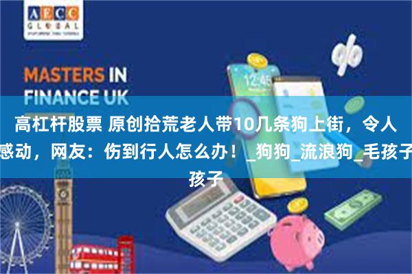 高杠杆股票 原创拾荒老人带10几条狗上街，令人感动，网友：伤到行人怎么办！_狗狗_流浪狗_毛孩子