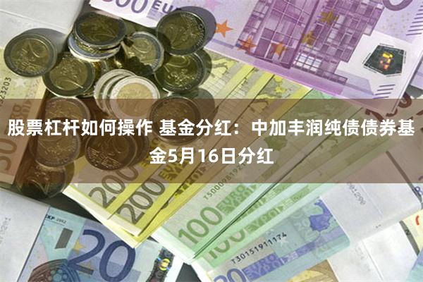 股票杠杆如何操作 基金分红：中加丰润纯债债券基金5月16日分红