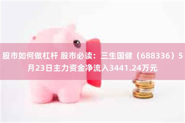 股市如何做杠杆 股市必读：三生国健（688336）5月23日主力资金净流入3441.24万元