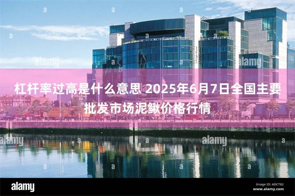 杠杆率过高是什么意思 2025年6月7日全国主要批发市场泥鳅价格行情