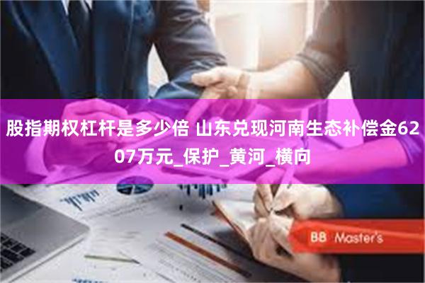 股指期权杠杆是多少倍 山东兑现河南生态补偿金6207万元_保护_黄河_横向