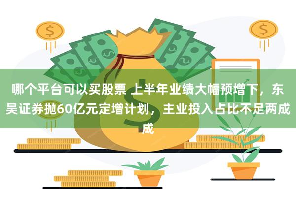 哪个平台可以买股票 上半年业绩大幅预增下，东吴证券抛60亿元定增计划，主业投入占比不足两成