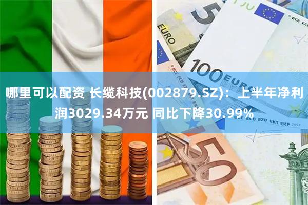 哪里可以配资 长缆科技(002879.SZ)：上半年净利润3029.34万元 同比下降30.99%