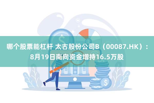 哪个股票能杠杆 太古股份公司B（00087.HK）：8月19日南向资金增持16.5万股