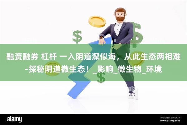 融资融券 杠杆 一入阴道深似海，从此生态两相难-探秘阴道微生态！_影响_微生物_环境